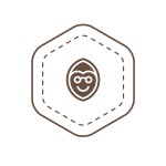 Logo Symbol (Color Option in JPG format)