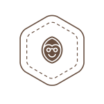 Logo Symbol (Transparent Option in PNG format)